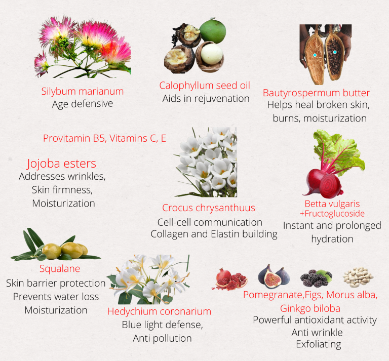 Hand Cream - Image 4